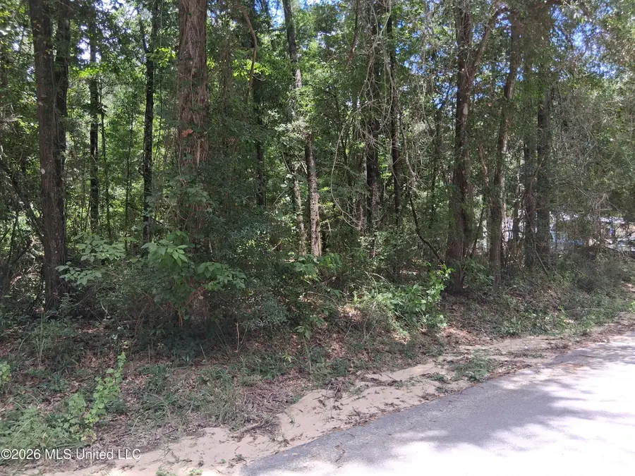 Singing River Drive, Lucedale, MS 39452 - #3