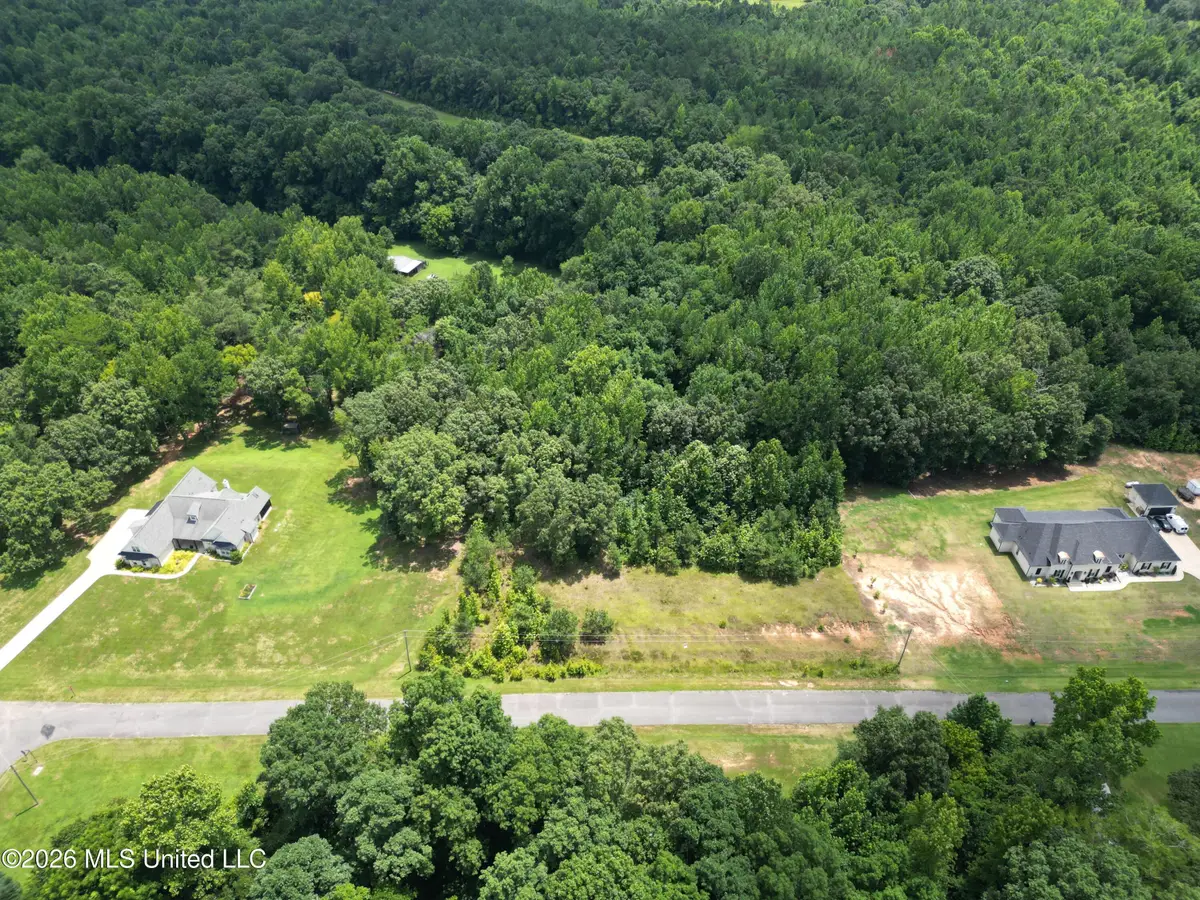 Summer Oaks Drive, Lamar, MS 38642 - #1