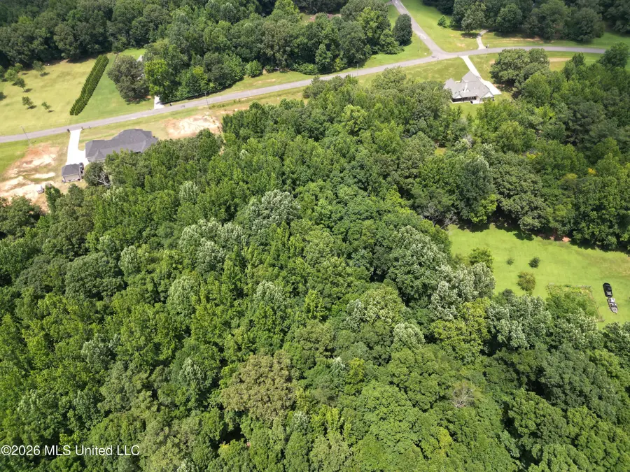 Summer Oaks Drive, Lamar, MS 38642 - #3