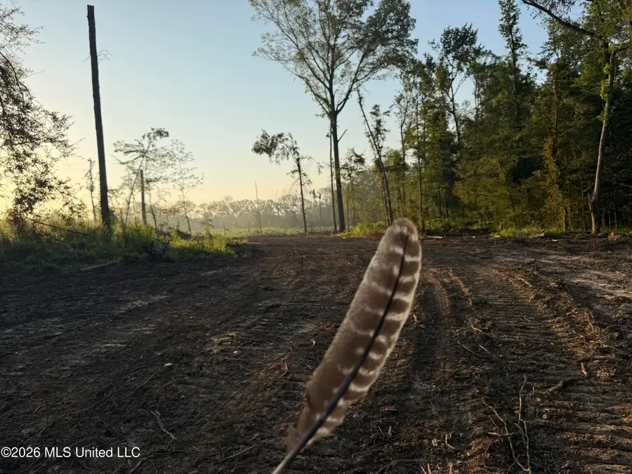 Carroll Road, Port Gibson, MS 39150 - #2