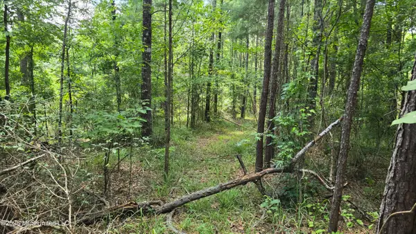 . Neal Posey Road, McCall Creek, MS 39647