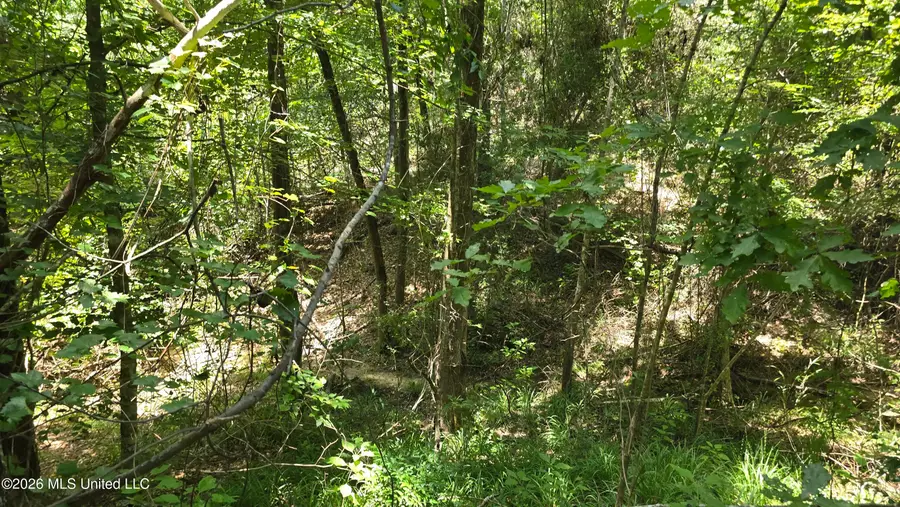 . Neal Posey Road, McCall Creek, MS 39647 - #3