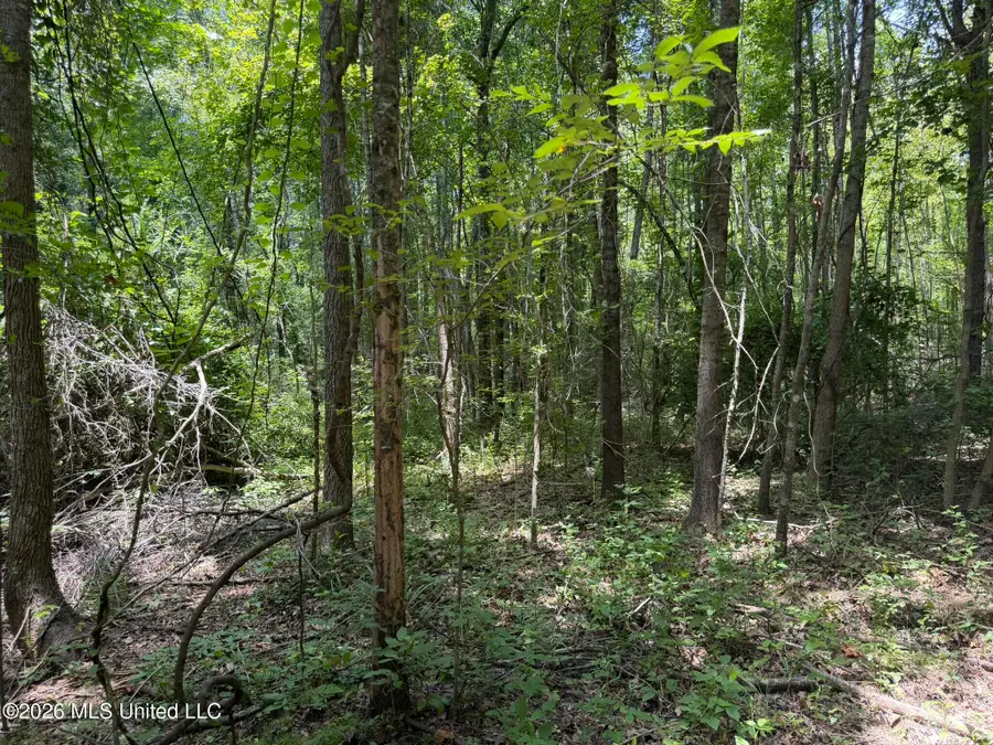4267 Race Track Road, West, MS 39192 - #3