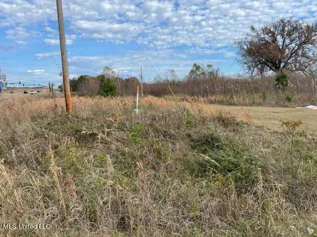N Old Canton Road, Canton, MS 39046 - #3