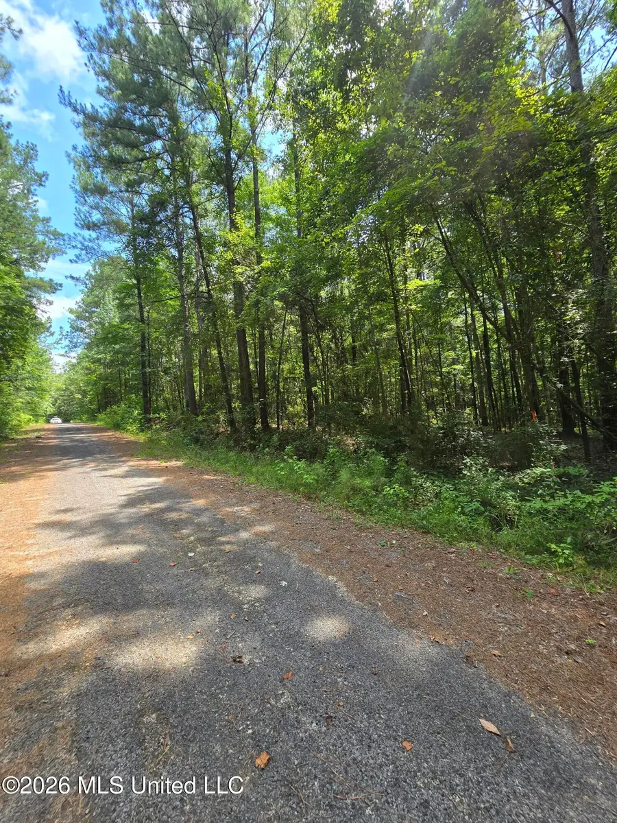 Scott Street, Brandon, MS 39042 - #2