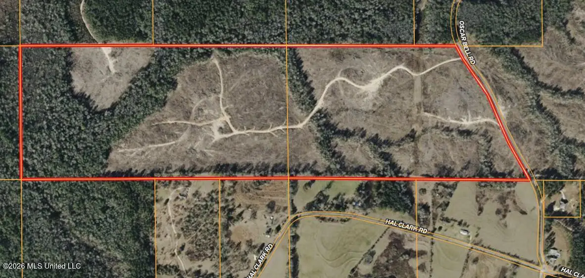 Oscar Bell Road, Waynesboro, MS 39367 - #1