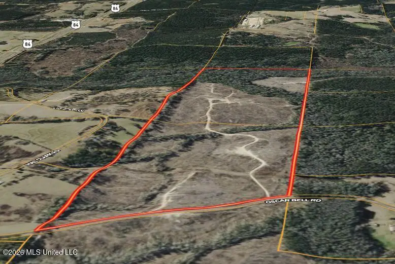 Oscar Bell Road, Waynesboro, MS 39367 - #3