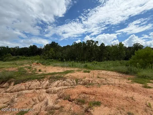 7 Taylor Nicole Road, Byhalia, MS 38611 - #3