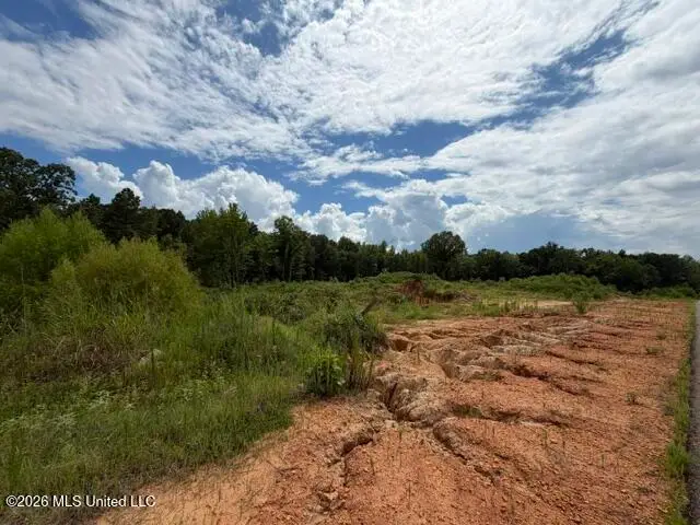 8 Taylor Nicole Road, Byhalia, MS 38611 - #1