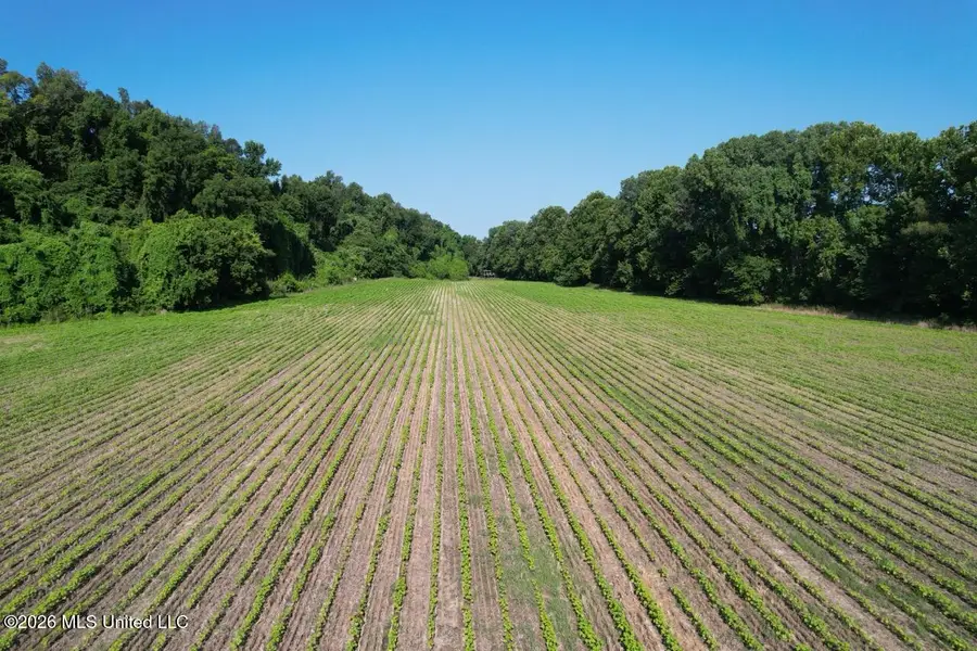 Annas Bottom Road, Natchez, MS 39120 - #3