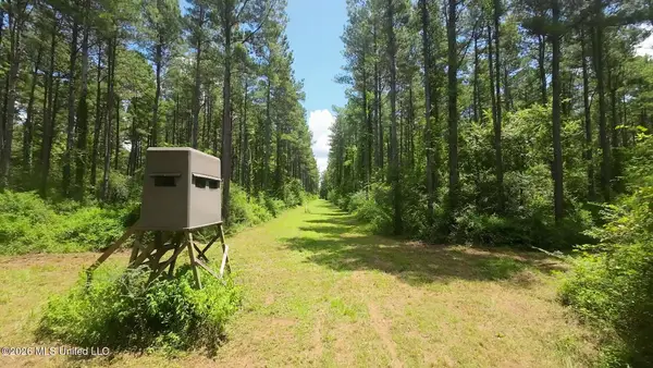 1026 Mt Olive Road, Mount Olive, MS 39119