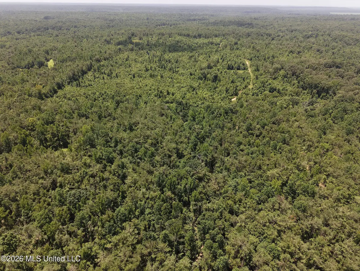 Holly Grove-meeks Road, Cruger, MS 38924 - #1