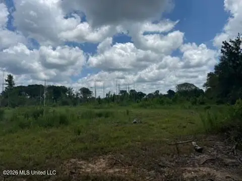 H H Buckley Road, Mendenhall, MS 39114 - #2
