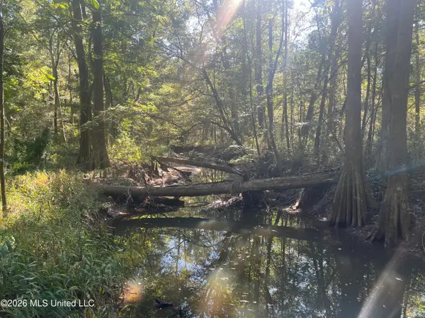 N Red Hill Florence Road, Sandersville, MS 39477