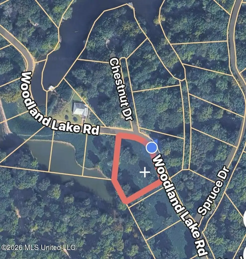 0 Woodland Lake Drive, Hernando, MS 38632 - #1
