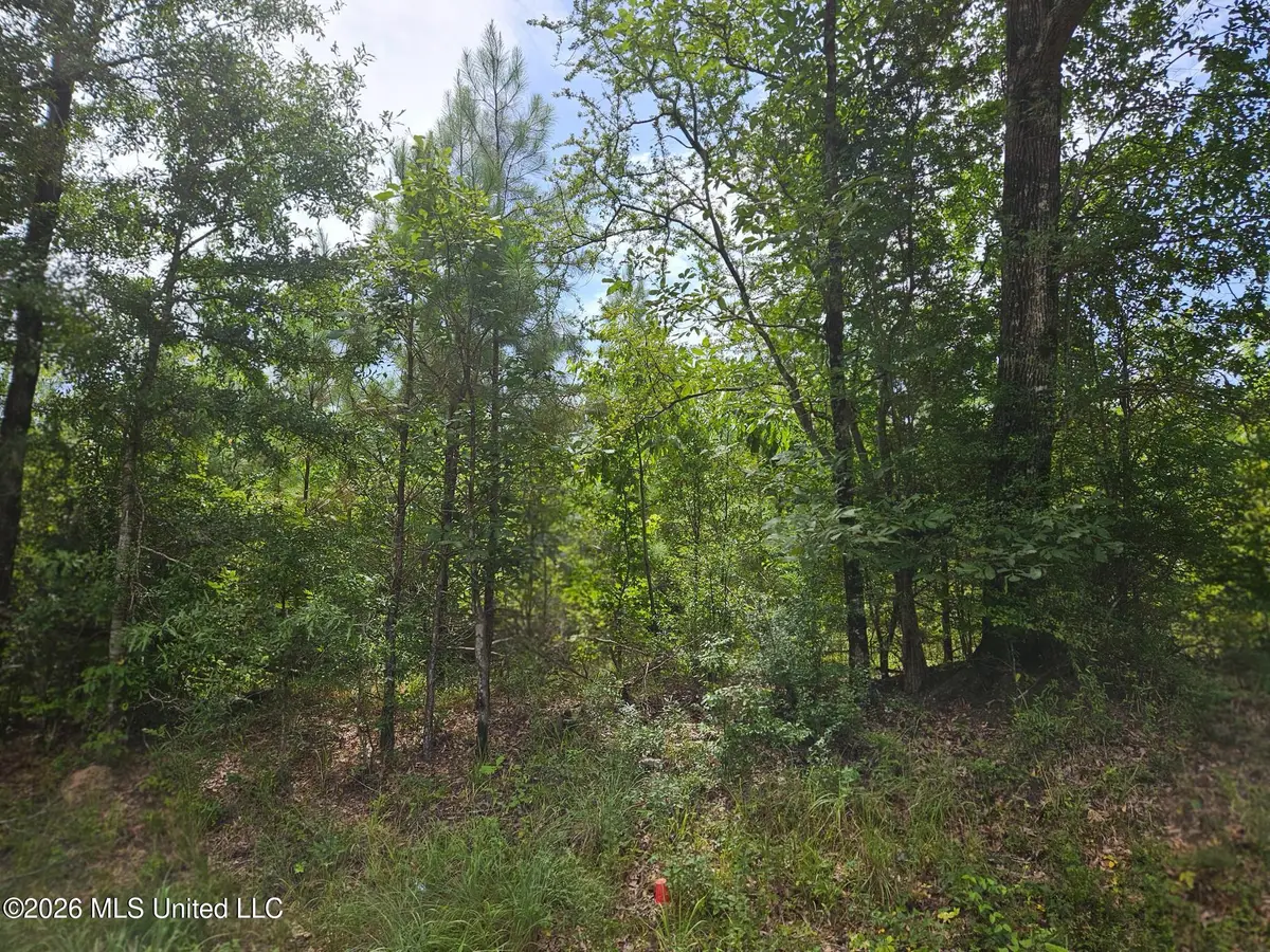Log Cabin Rd Road, Roxie, MS 39661 - #1