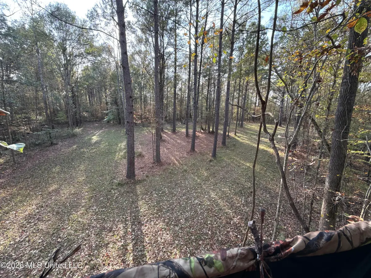 21 Pheasant Road, Roxie, MS 39661 - #1