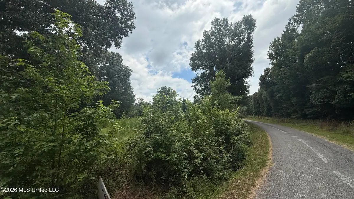 Matthews Drive, Byhalia, MS 38611 - #1