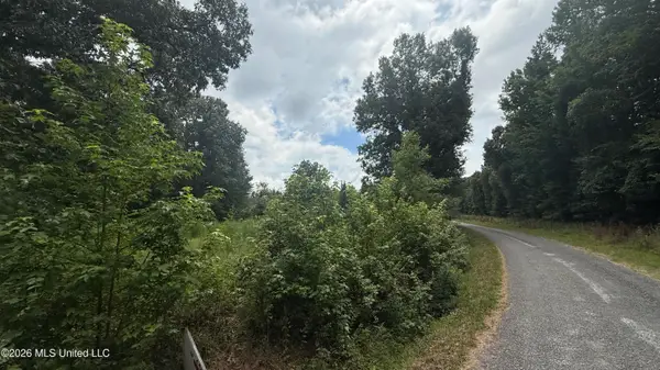 Matthews Drive, Byhalia, MS 38611