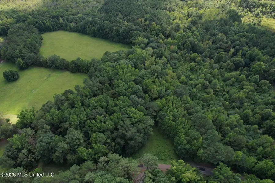 County Road 2251, Kosciusko, MS 39090 - #2