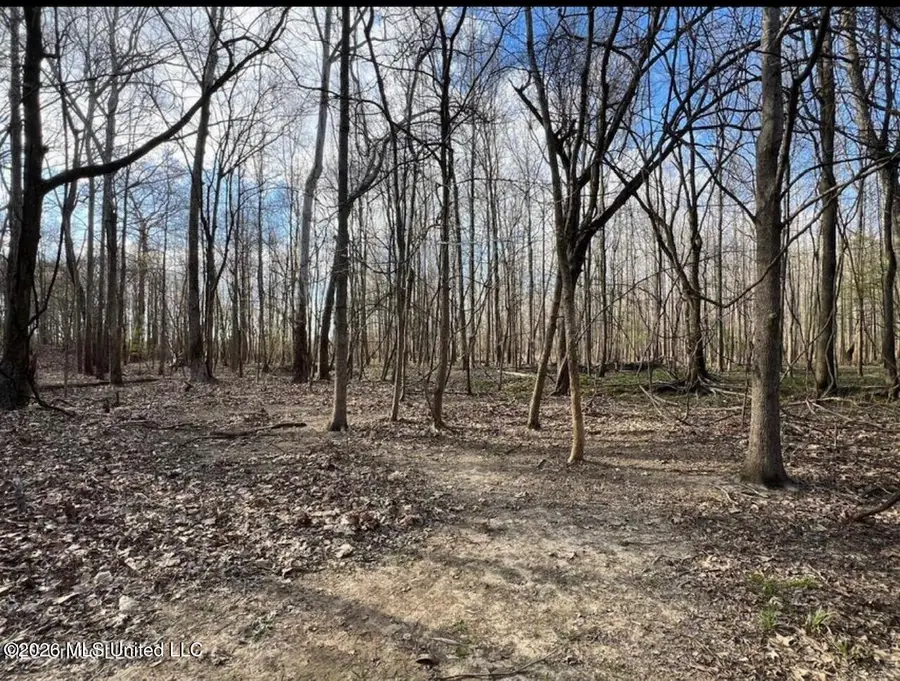 Fogg Road, Hernando, MS 38632 - #2