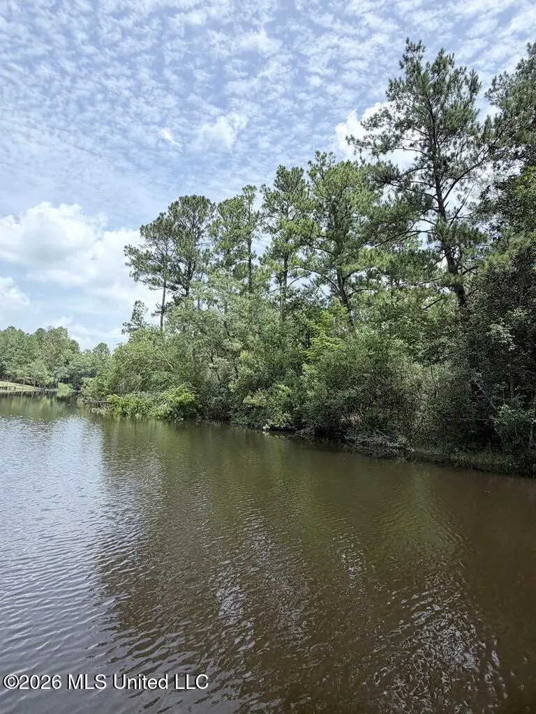 Flurry Drive, Perkinston, MS 39573 - #3