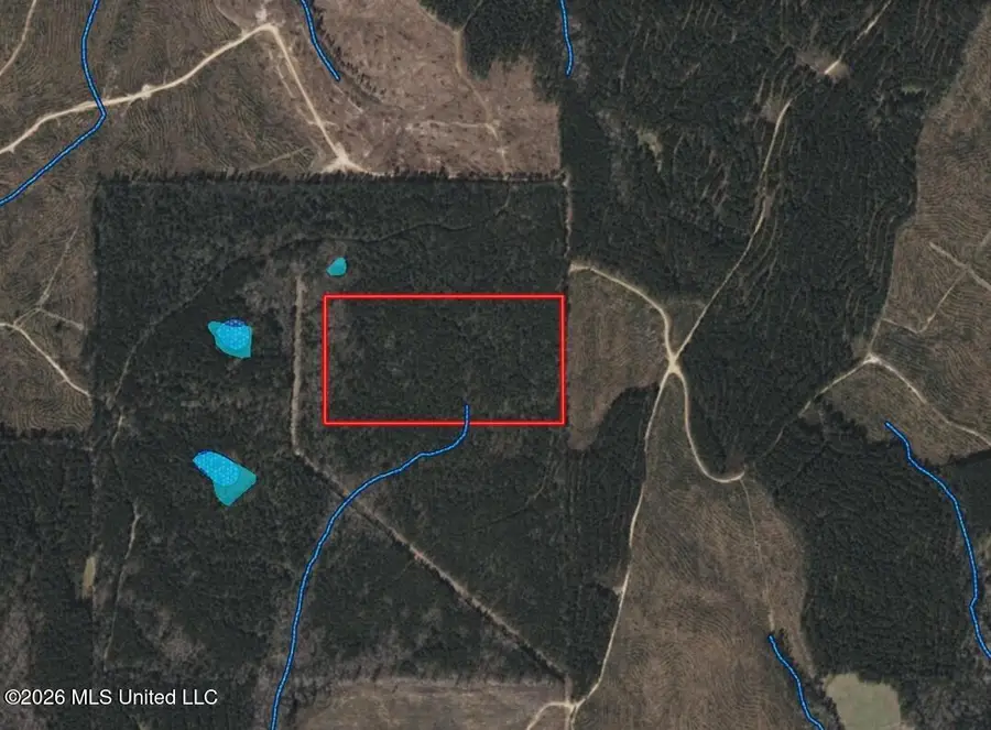 00 Pine Grove Lane, Wesson, MS 39191 - #3