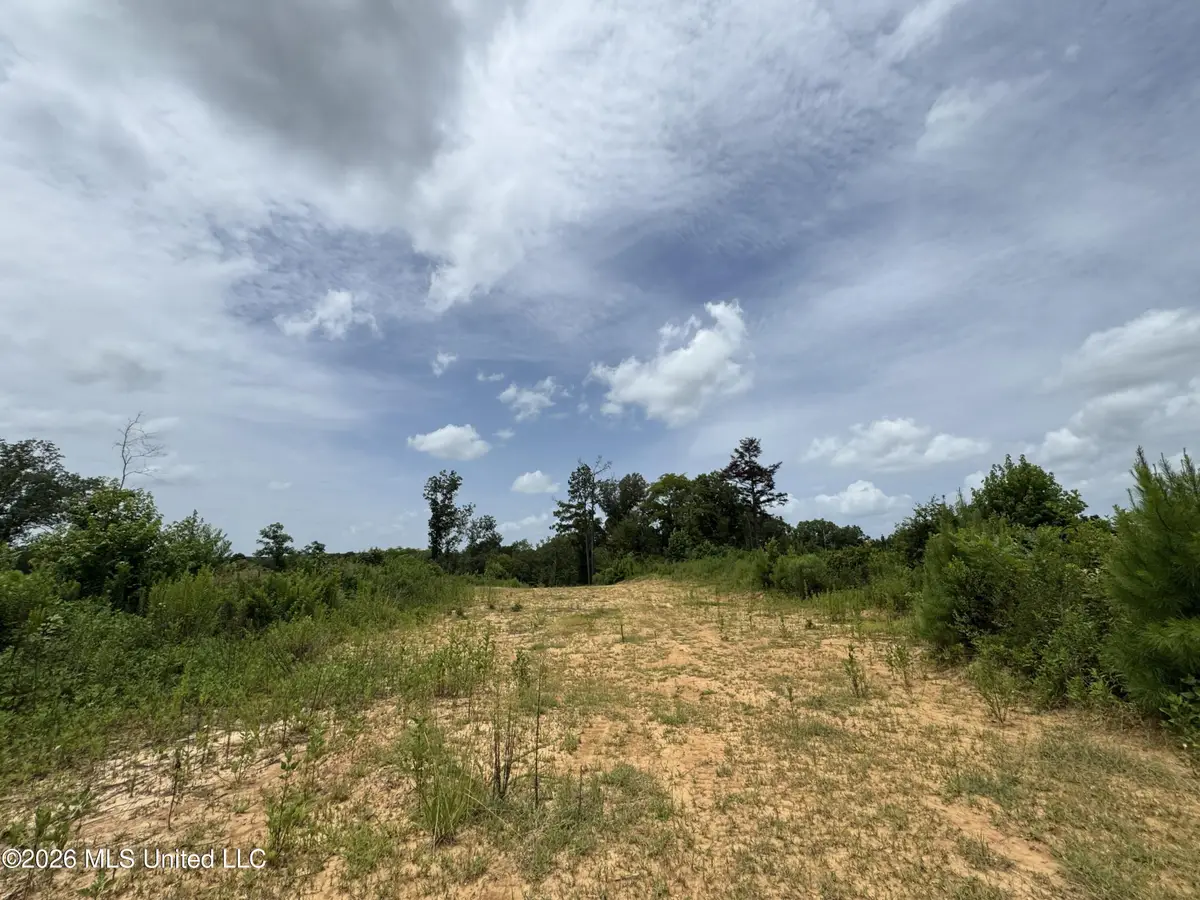 W Gallatin Street, Hazlehurst, MS 39083 - #1