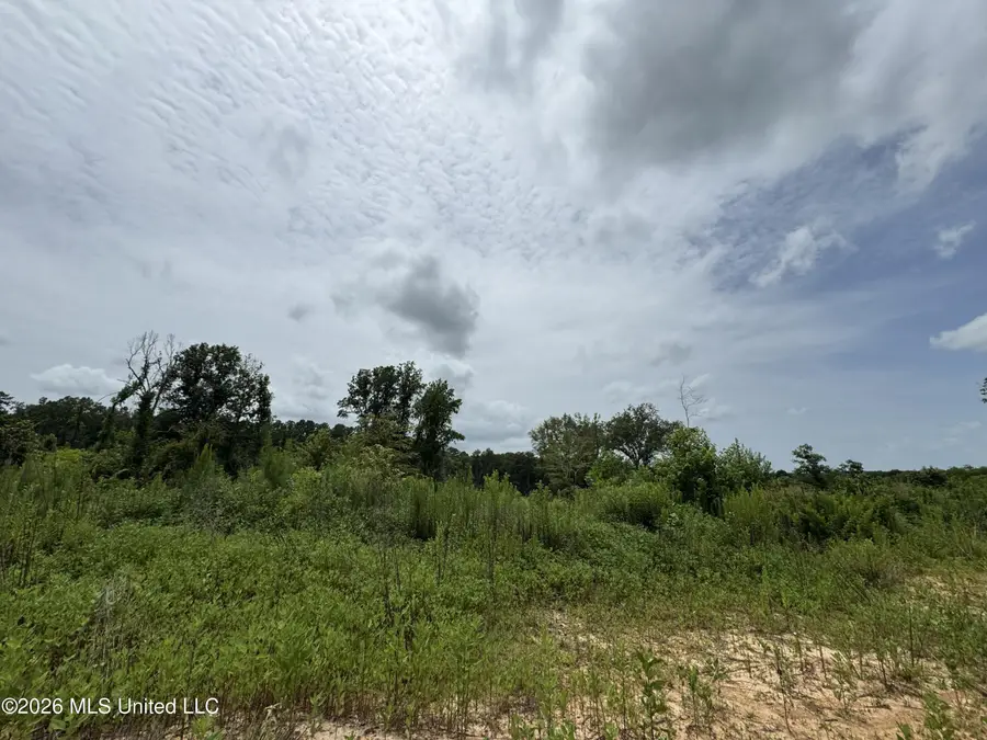 W Gallatin Street, Hazlehurst, MS 39083 - #2