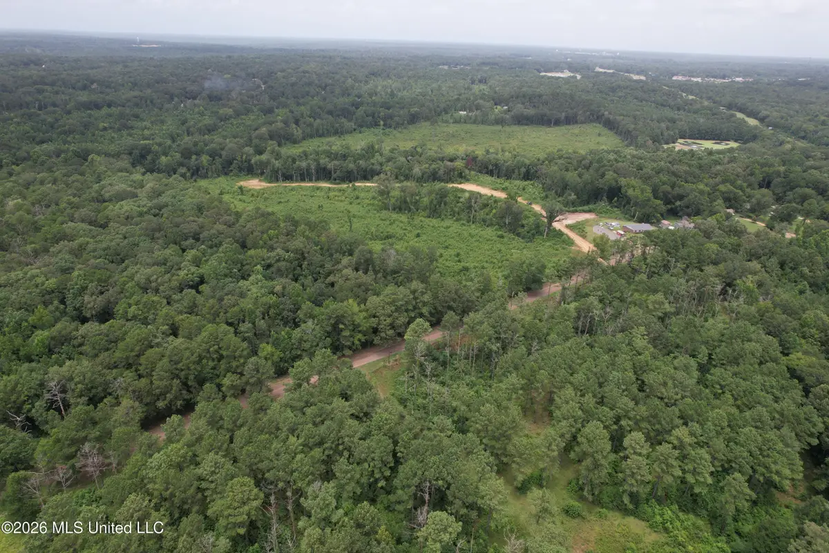 W Gallatin Street, Hazlehurst, MS 39083 - #1