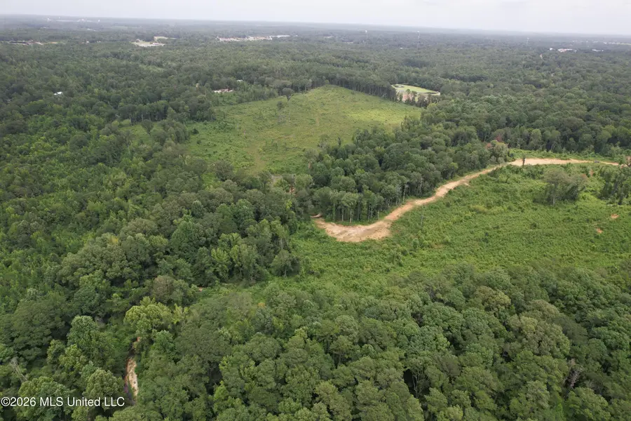 W Gallatin Street, Hazlehurst, MS 39083 - #2