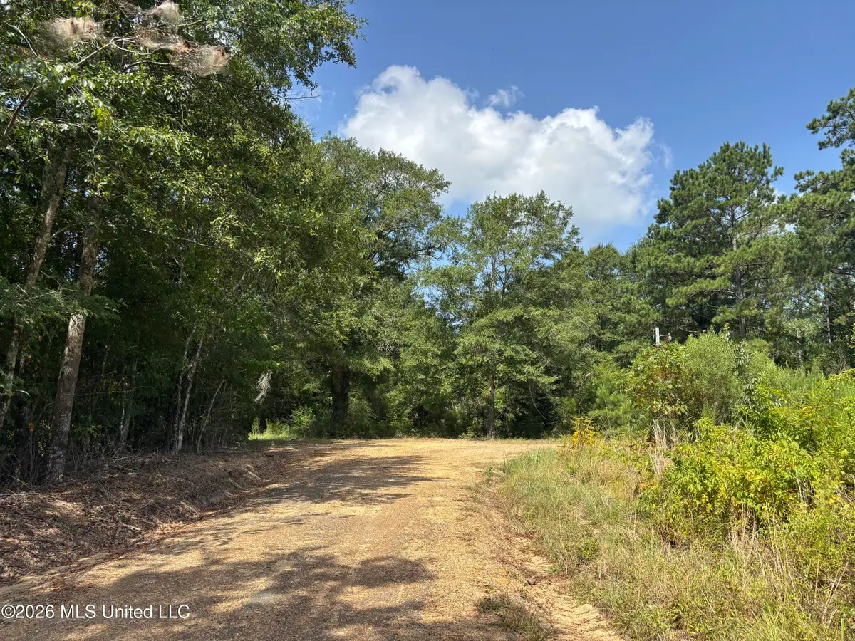 00 L Rogers Road, Pinola, MS 39149 - #1