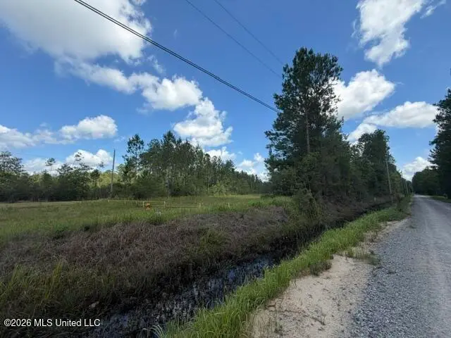 Elmer Hamilton Road Road, Moss Point, MS 39562 - #3