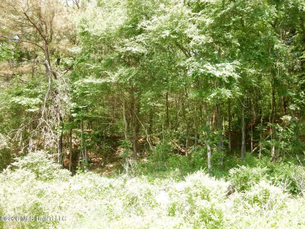 3 Looxahoma-tyro Road, Senatobia, MS 38668 - #1