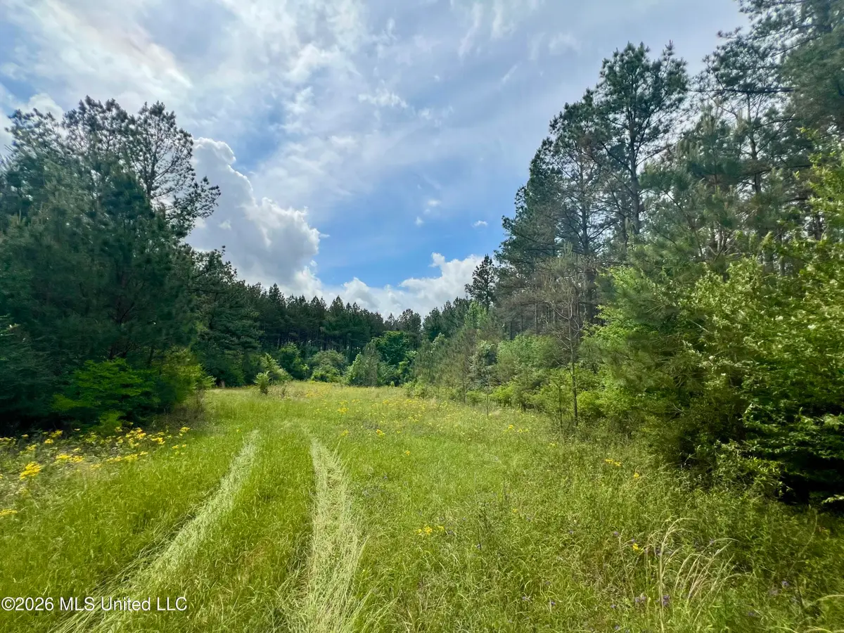 NE Highway 44, Summit, MS 39666 - #1