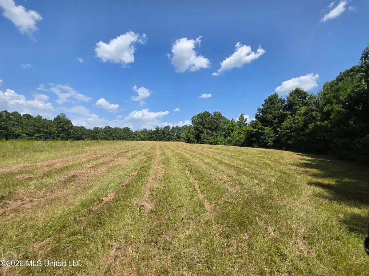 Mount Carmel Road, Prentiss, MS 39474 - #1
