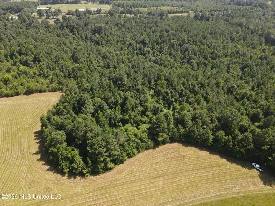 Mount Carmel Road, Prentiss, MS 39474 - #2