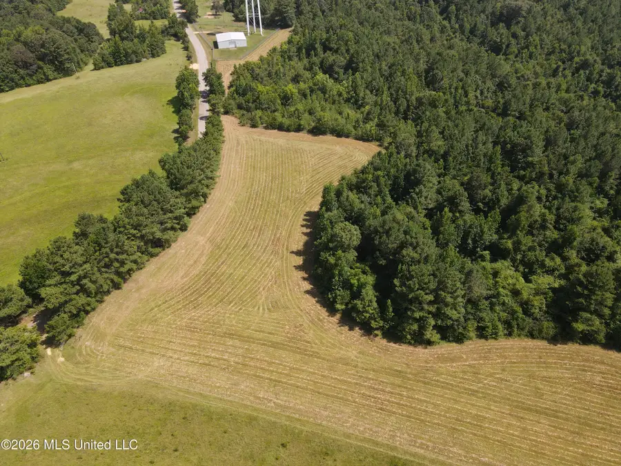 Mount Carmel Road, Prentiss, MS 39474 - #3