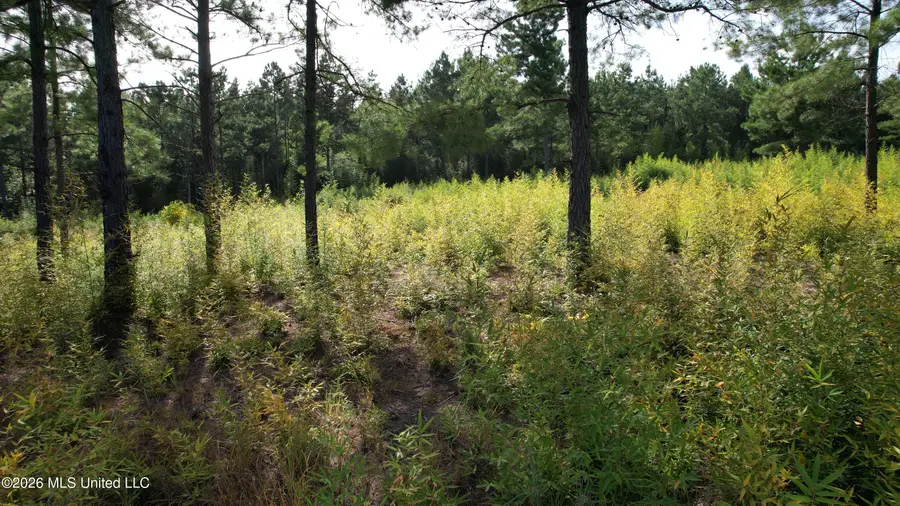 W Of Hwy 569, Liberty, MS 39645 - #3