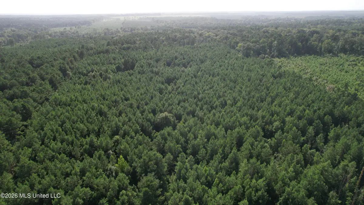 Bethel Road, Liberty, MS 39645 - #1