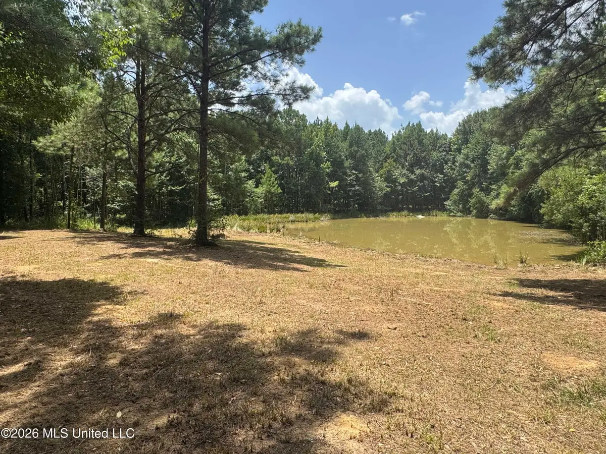 000 SW Maude Lane, Bogue Chitto, MS 39629 - #1