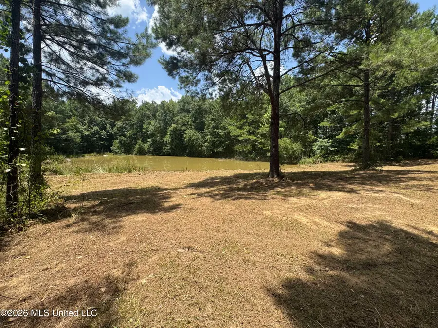 000 SW Maude Lane, Bogue Chitto, MS 39629 - #2