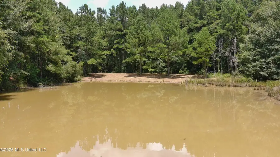 000 SW Maude Lane, Bogue Chitto, MS 39629 - #3