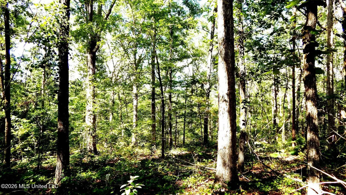 330 County Road 245, Abbeville, MS 38601 - #1