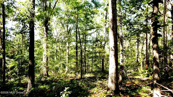 330 County Road 245, Abbeville, MS 38601