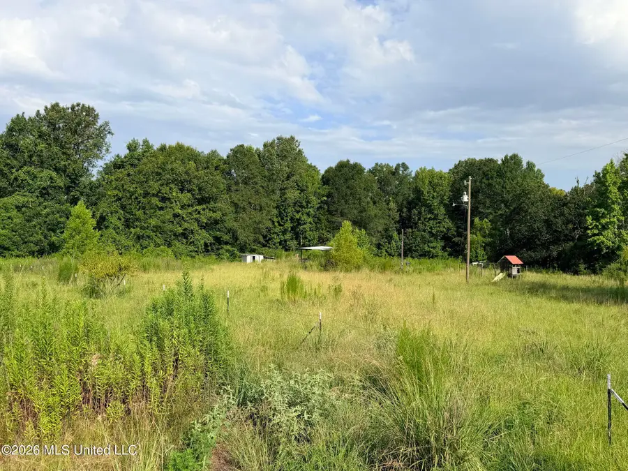 2511 Dry Grove Road, Crystal Springs, MS 39059 - #2