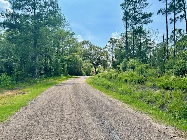 0 Bridges Quin Circle, Summit, MS 39666 - #2