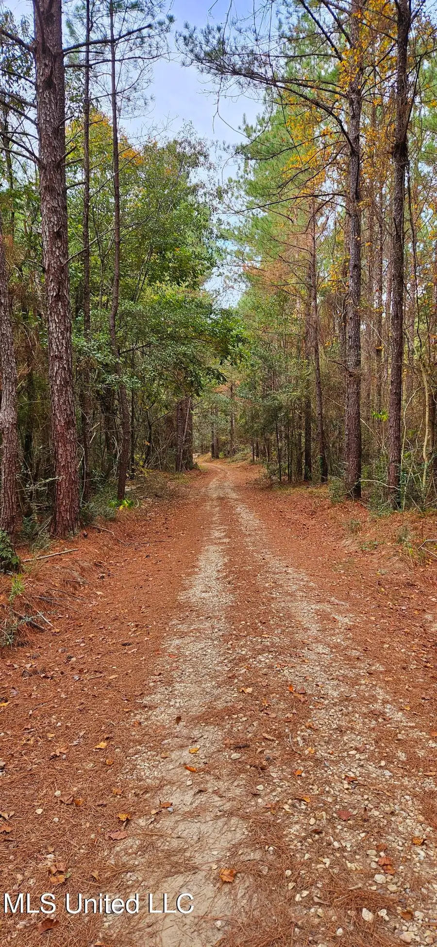 Nhn Firefox, Poplarville, MS 39470 - #2