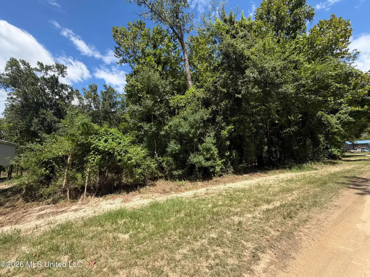 Plum Bluff Drive, Lucedale, MS 39452 - #1