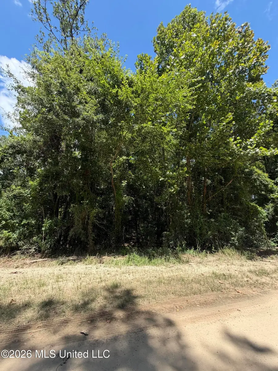 Plum Bluff Drive, Lucedale, MS 39452 - #3